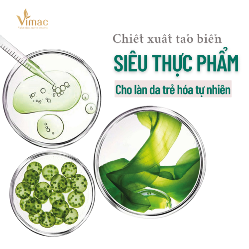 CHIẾT XUẤT TẢO BIỂN “SIÊU THỰC PHẨM” CHO LÀN DA TRẺ HÓA TỰ NHIÊN