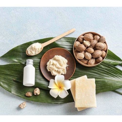 CHIẾT XUẤT BƠ CACAO TRONG GIA CÔNG MỸ PHẨM 