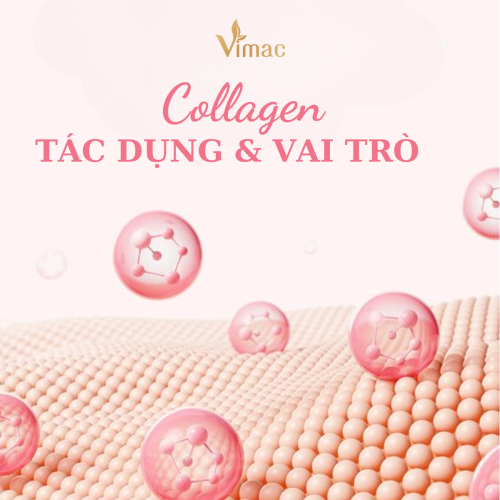 Collagen có tác dụng gì? Vai trò của collagen đối với sức khỏe