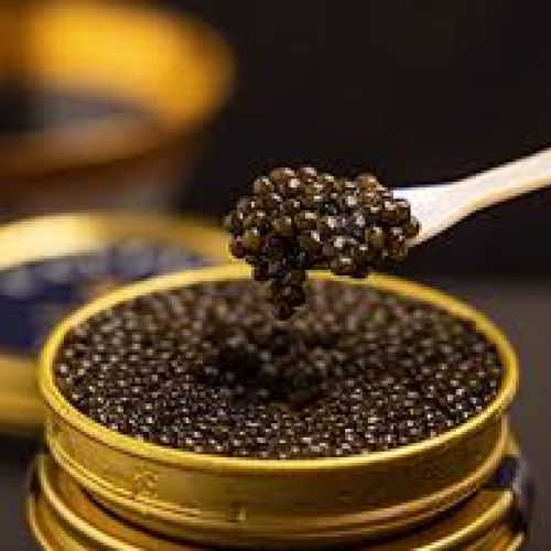 Chiết xuất Caviar trong Dưỡng Da: Thành Phẩm Xa Xỉ Cho Làn Da Rạng Rỡ