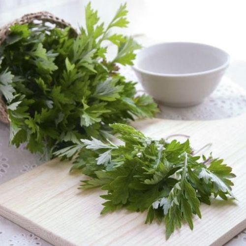 CÔNG DỤNG CHIẾT XUẤT NGẢI CỨU TRONG LÀM ĐẸP