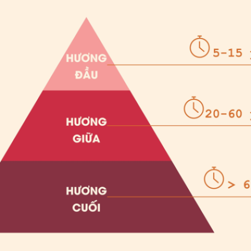 NỐT HƯƠNG LÀ GÌ? TÌM HIỂU VỀ CÁC TẦNG HƯƠNG TRONG NƯỚC HOA