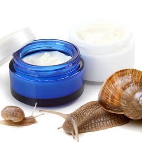 TÁC DỤNG CỦA TINH CHẤT ỐC SÊN TRONG LÀM ĐẸP VÀ CHĂM SÓC DA