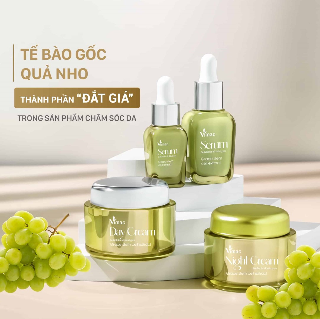 TẾ BÀO GỐC QUẢ NHO