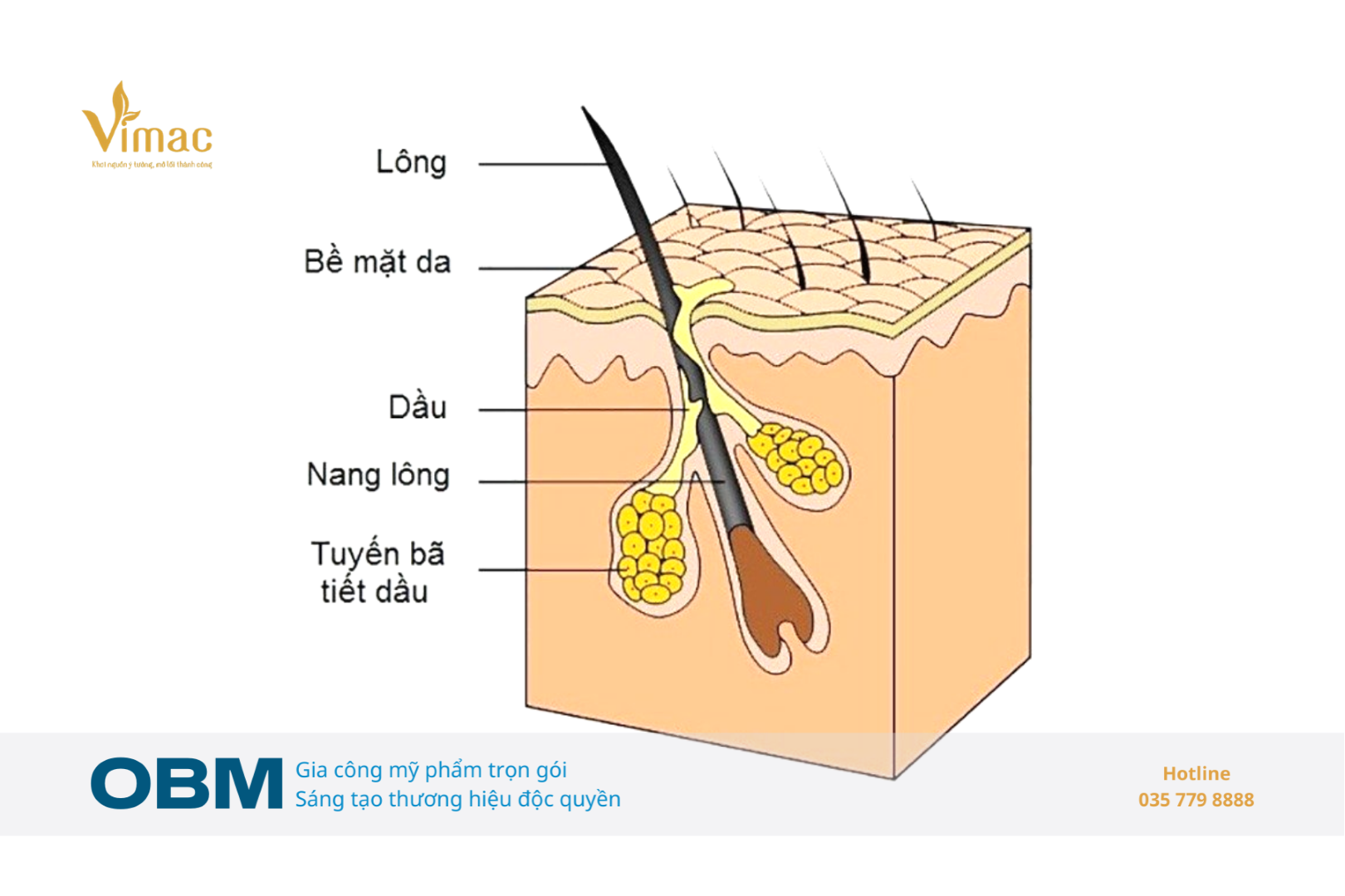 nước hoa hồng se khít lỗ chân lông cho da dầu 2