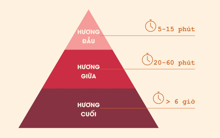 not-huong-la-gi